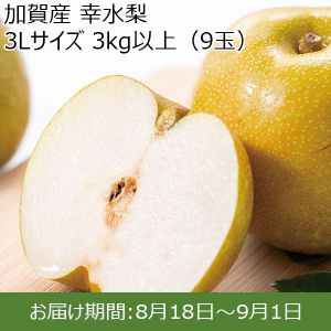加賀産 幸水梨 3Lサイズ・9玉【ふるさとの味・北陸信越】
