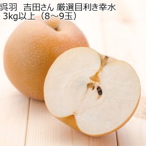 富山県呉羽産 吉田さん厳選目利き幸水 3kg以上(8〜9玉)【CB】