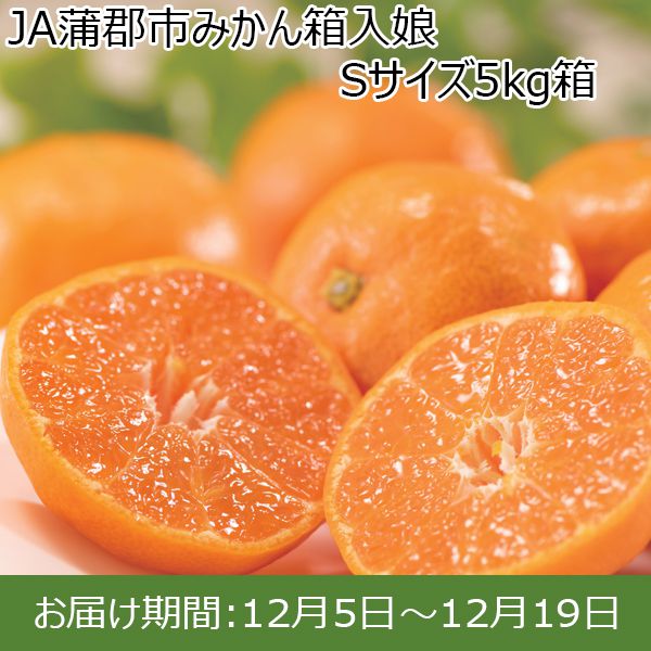 愛知県産(JA蒲郡市)箱入り娘 Sサイズ5kg【お届け期間：12/5(木)〜12/19(木)】【ふるさとの味・東海】