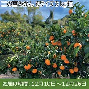 愛知県産(JA愛知北)二の宮みかん Sサイズ3kg【限定50箱】【お届け期間：12/10(火)〜12/26(木)】【ふるさとの味・東海】