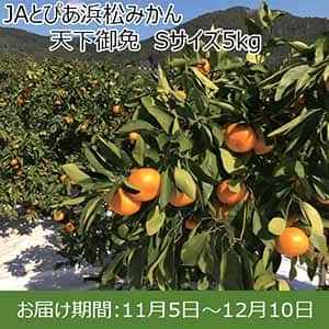 静岡県産(JAとぴあ浜松)JAとぴあ浜松みかん 天下御免 Sサイズ5kg【限定200箱】【お届け期間：11/5(火)〜12/10(火)】【ふるさとの味・東海】