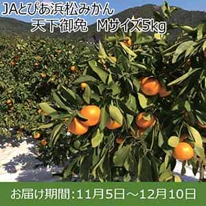 静岡県産(JAとぴあ浜松)JAとぴあ浜松みかん 天下御免 Mサイズ5kg【限定200箱】【お届け期間：11/5(火)〜12/10(火)】【ふるさとの味・東海】