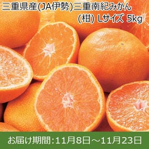 三重県産(JA伊勢)三重南紀みかん(柑) Lサイズ 5kg【お届け期間：11/8(金)〜11/23(土)】【ふるさとの味・東海】