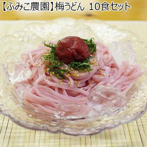 【ふみこ農園】梅うどん 10食セット（L5886）