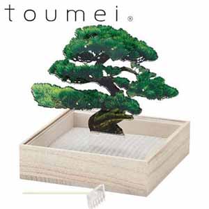 toumei ミニ盆栽（オブジェ）（松）【贈りものカタログ】[C7985-91]