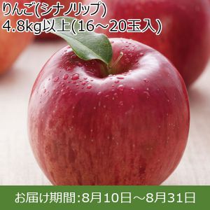 長野県産 りんご（シナノリップ） 4.8kg以上(16〜20玉）【ふるさとの味・北陸信越】
