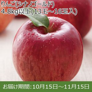 長野県産（JA信州うえだ） りんご（シナノゴールド） 4.8kg以上(13玉〜16玉入）【ふるさとの味・北陸信越】