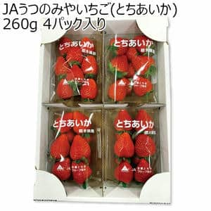 (栃木県)JAうつのみやいちご(とちあいか)260g 4パック入り【お届け期間2025/1/7-2025/3/1】【ふるさとの味・北関東】