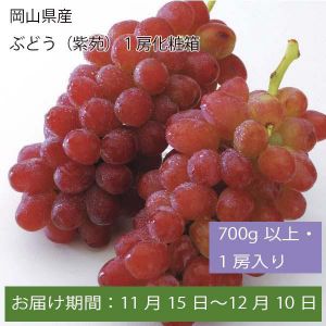 岡山県産 ぶどう(紫苑)化粧箱700g以上・1房入【お届け期間:11月15日〜12月10日】【ふるさとの味・中四国】