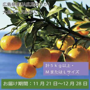 広島県産(JA広島ゆたか)大長エースみかん 計5kg以上・MまたはLサイズ【お届け期間:11月21日〜12月28日】【ふるさとの味・中四国】