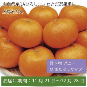 広島県産(JAひろしま・せとだ選果場)広島みかん 計5kg以上・MまたはLサイズ【お届け期間:11月21日〜12月28日】【ふるさとの味・中四国】