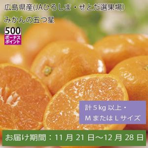 広島県産(JAひろしま・せとだ選果場)みかんの五つ星 計5kg以上・MまたはLサイズ【お届け期間:11月21日〜12月28日】【ふるさとの味・中四国】