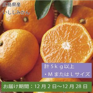 広島県産 いしじみかん 計5kg以上・MまたはLサイズ【お届け期間:12月2日〜12月28日】【ふるさとの味・中四国】