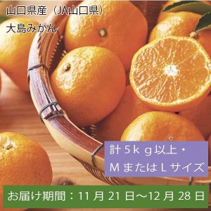 山口県産(JA山口県)大島みかん 計5kg以上・MまたはLサイズ【お届け期間:11月21日〜12月28日】【ふるさとの味・中四国】