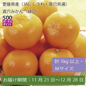 愛媛県産(JAにしうわ・真穴共選)真穴みかん 計5kg以上・Mサイズ【お届け期間:11月21日〜12月28日】【ふるさとの味・中四国】