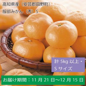高知県産（安芸郡田野町）服部みかん（秀）S計５Kg以上・Ｓサイズ【お届け期間：11月21日〜12月15日】[ふるさとの味・中四国】