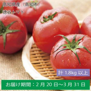 高知県産(高知市) 徳谷トマト 計1.8kg以上【ふるさとの味・中四国】