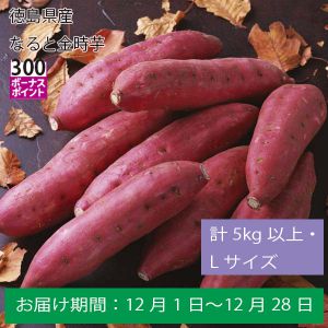 徳島県産 なると金時芋 計5kg以上・Lサイズ【ふるさとの味・中四国】