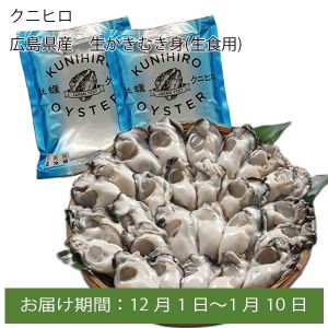 クニヒロ 広島県産 生かきむき身(生食用)300gx2【お届け期間:12月1日〜1月10日】【ふるさとの味・中四国】