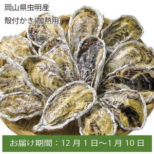 岡山県虫明産 殻付かき(加熱用)30個【お届け期間:12月1日〜1月10日】【ふるさとの味・中四国】