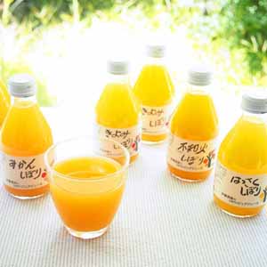 伊藤農園 １００％ストレートジュース ５種飲み比べ【ふるさとの味・近畿】