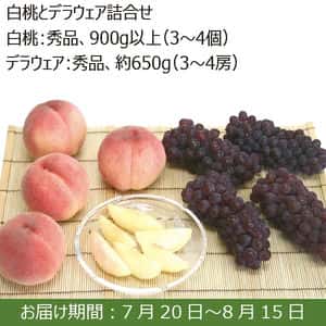 山形県産　白桃とデラウェア詰合せ　 白桃：秀品、900ｇ以上（3〜4個）、デラウェア：秀品、650ｇ（3〜4房）【ふるさとの味・南関東】