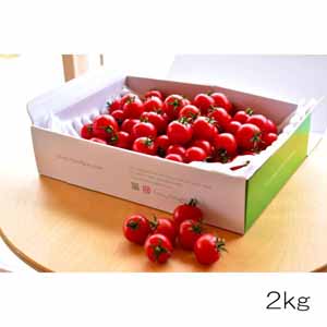 岐阜県産 細野ファームのトマト 薔薇トマト2kg【ふるさとの味・東海】