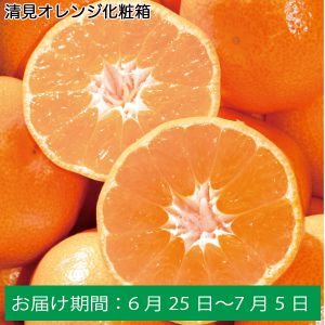 愛媛県産（JAにしうわ） 清見オレンジ化粧箱　計2.4kg以上 【ふるさとの味・中四国】