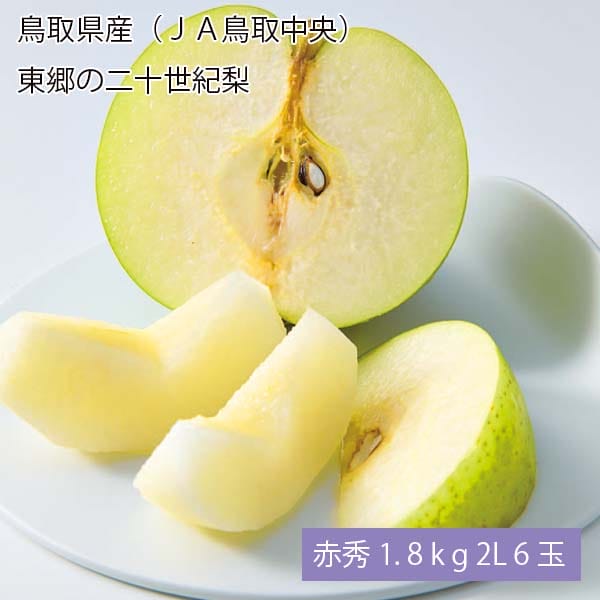 鳥取県産(JA鳥取中央)東郷の二十世紀梨 赤秀1.8kg 2L6玉【お届け期間:8月28日〜9月25日】【梨ギフト】【NN】