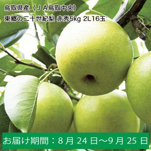 鳥取県産(JA鳥取中央)琴浦の二十世紀梨 限定100箱 赤秀5kg3L14玉/4L12