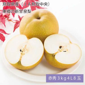 鳥取県産(JA鳥取中央) 東郷の新甘泉梨 赤秀3kg4L8玉(お届け期間:8月21日〜9月15日)【NN】