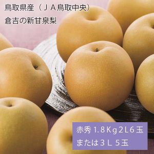 鳥取県産(JA鳥取中央) 倉吉の新甘泉梨 赤秀1.8kg2L6玉または3L5玉(お届け期間:8月20日〜9月15日)【NN】