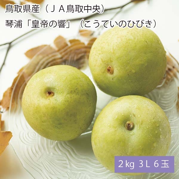 鳥取県産(JA鳥取中央)琴浦「皇帝の響」(こうていのひびき)(二十世紀梨) 2kg 3L6玉【お届け期間:8月31日〜9月25日】【梨ギフト】【NN】