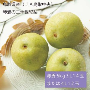 鳥取県産(JA鳥取中央) 琴浦の二十世紀梨 赤秀5kg3L14玉または4L12玉(お届け期間:8月26日〜9月25日)【NN】