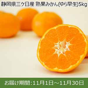 静岡県産（三ケ日） 熟果みかん(ゆら早生) 5kg 光センサー選別 送料込み【イオンカード会員限定】