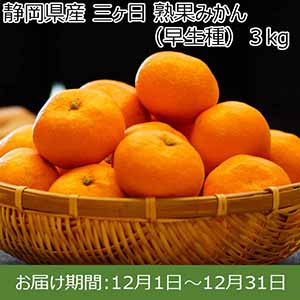 静岡県産 三ヶ日 熟果みかん（早生種） 3kg【おいしいお取り寄せ】