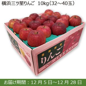 青森県JA津軽みらい 横浜三ツ星りんご(10kg 32玉〜40玉)【お届け期間：12/5(木)〜12/28(土)】【ふるさとの味・南関東】