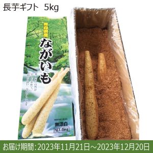 青森県 長芋ギフト(5kg化粧箱)【お届け期間:11/21(火)〜12/20(水)】【ふるさとの味・南関東】