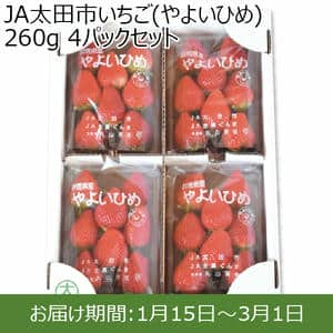 (群馬県)JA太田市いちご(やよいひめ)260g 4パックセット【お届け期間2025/1/15-2025/3/1】【ふるさとの味・北関東】