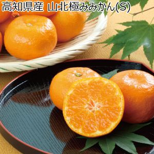 高知県産　山北極みみかん　計５Kg以上・Ｓサイズ　【お届け期間：10月26日〜12月28日】【ふるさとの味・中四国】