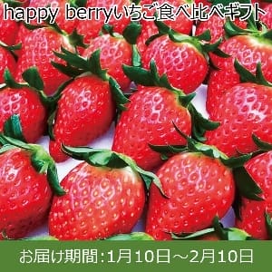愛知県産 happy berryいちご食べ比べギフト【ふるさとの味・東海】
