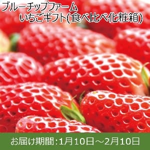 愛知県産 ブルーチップファームいちごギフト(食べ比べ化粧箱)【ふるさとの味・東海】