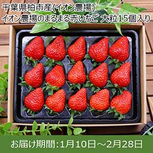 千葉県柏市産(イオン農場) イオン農場のまるまる赤いちご 大粒15個入り【おいしいお取り寄せ】