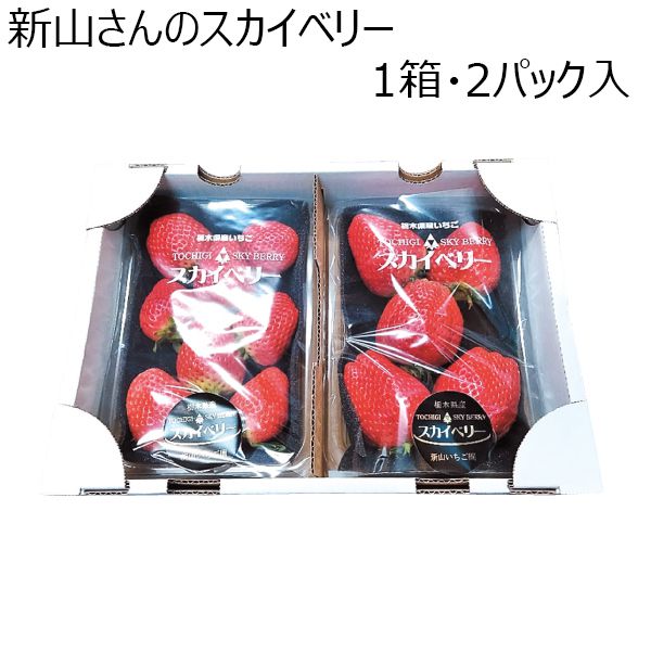 栃木県産 新山さんのスカイベリー　1箱・2パック入【ふるさとの味・北関東】