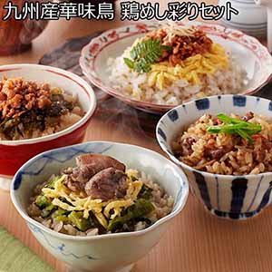 九州産華味鳥 鶏めし彩りセット 1000g 【父の日】