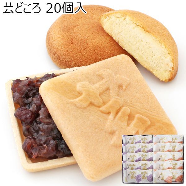 松河屋老舗 芸どころ 20個入(最中×10、焼菓子×10)【ふるさとの味・東海】