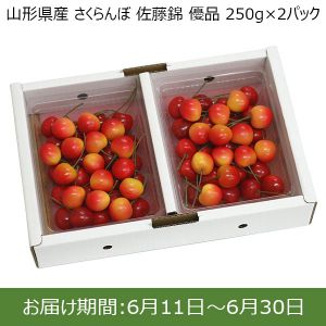 山形県産 さくらんぼ 佐藤錦 優品 Lサイズ以上 250g×2パック【お届け期間：6/11〜6/30】【おいしいお取り寄せ】