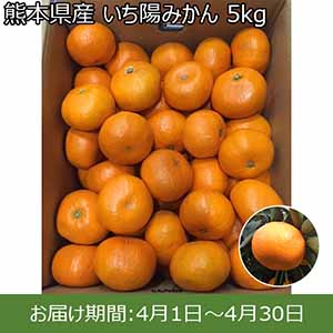 熊本県産いち陽みかん（長期貯蔵）5kg【イオンカード会員限定】