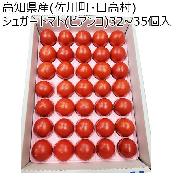 高知県産(佐川町・日高村)シュガートマト(ビアンコ)32〜35個入り【ふるさとの味・中四国】