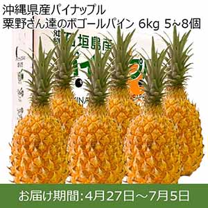 パイナップル - イオンショップ